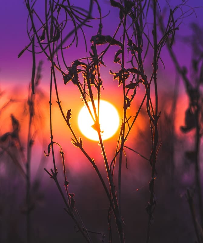 Energy Healing